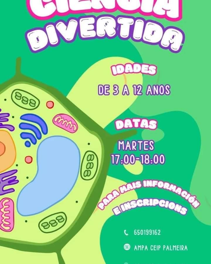 Extraescolares: Ciencia divertida